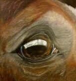 Country Canvas Studio Emporium